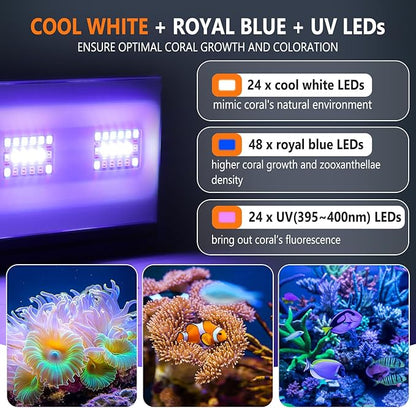 hygger 24/7 Mode Reef Aquarium Light White Blue U-V LEDs with 4 Channels Dimmer Timer Saltwater LED Light for LPS/Soft Coral/Fish Only Tank 12'' 30 Minutes Ramp Up & Down hygger