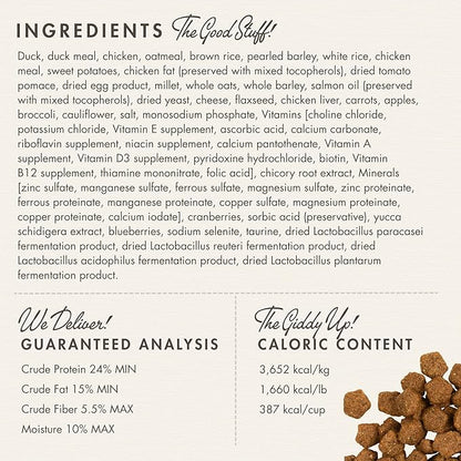 Fromm Four-Star Nutritionals Duck A La Veg Recipe Dog Food (12 lb.) - PAWPICO