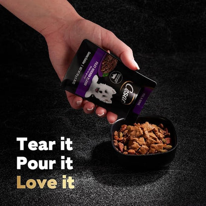 Cesar Filets in Gravy Wet Dog Food Filet Mignon Flavor, 1.76 oz. Mini-Pouch, 20 Pack - PAWPICO