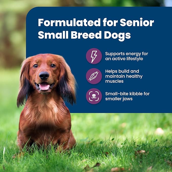 Blue Buffalo Life Protection Formula Small Breed Senior Dry Dog Food, Supports Joint Health and Immunity, Made with Natural Ingredients, Chicken & Brown Rice Recipe, 5-lb Bag - PAWPICO