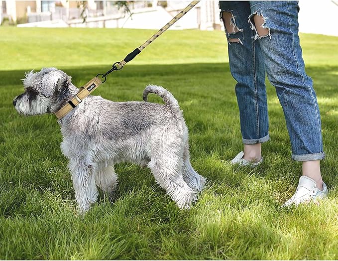 haapaw 2 Packs Martingale Dog Collar with Quick Release Buckle Reflective Dog Training Collars for Small Medium Large Dogs (Collar+Collar, L Neck 17"-21", Beige, 1+1 Packs) haapaw