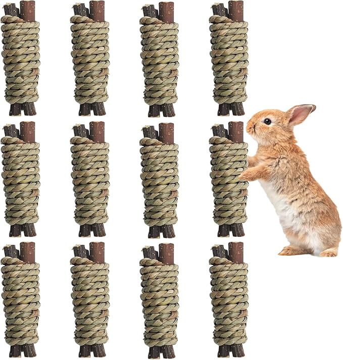 Fhiny 12 PCS Guinea Pigs Chew Toys, Natural Apple Branch Seagrass Molar Sticks for Teeth Bunny Chew Toys Cage Accessories for Guinea Pigs Rabbit Bunny Hamster Chinchilla Fhiny