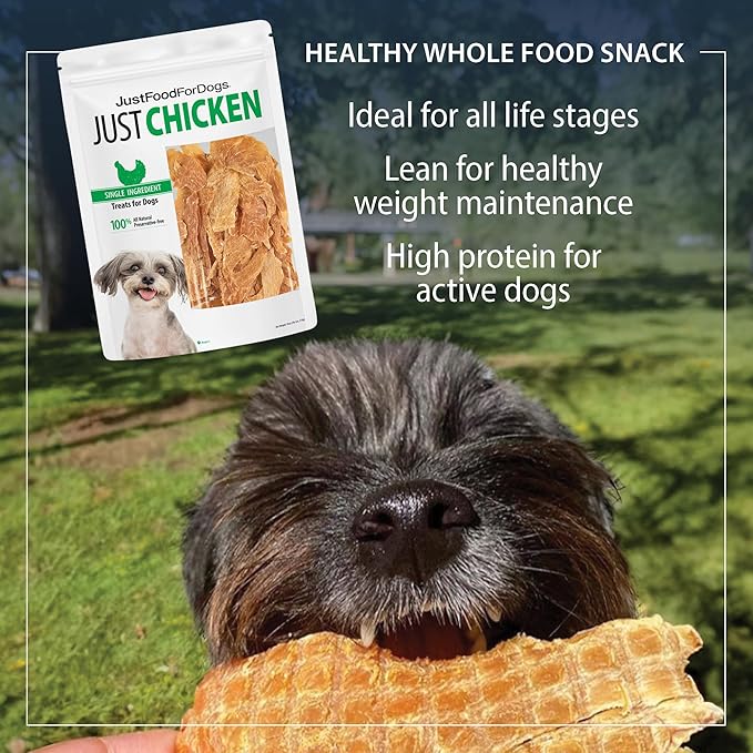 JustFoodForDogs Healthy Dog Treats, Single-Ingredient, Chicken Breast, 5 oz - PAWPICO