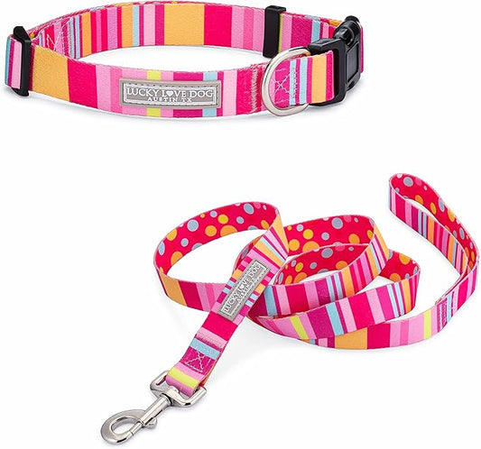 Lucky Love Dog, Colorful Stripes Dog Collar and Leash Set, Yellow, Pink, Blue Color Dog Collar and Leash, Cute Dog Combo Set for Female Dogs - (Large, Molly Combo) LuckyLoveDog