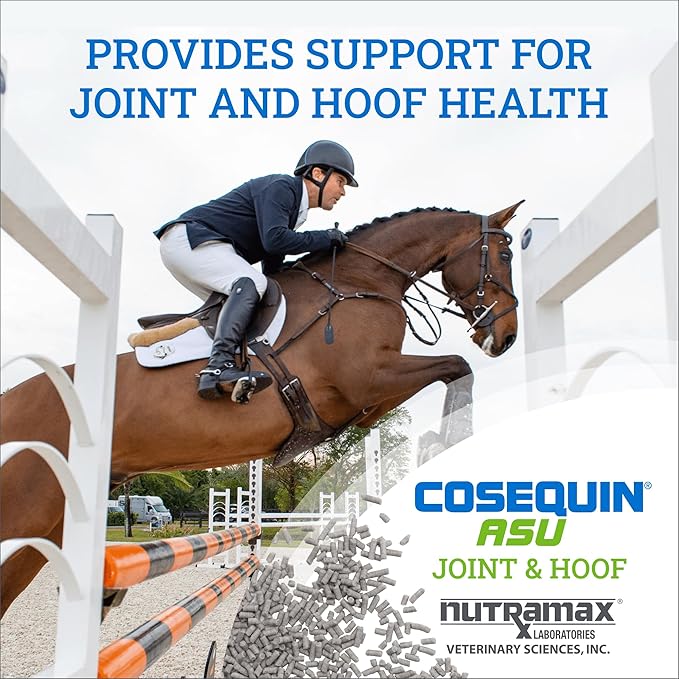 Nutramax Laboratories Cosequin ASU Joint & Hoof Pellets Joint Health Supplement for Horses - Pellets with Glucosamine, Chondroitin, MSM, and Biotin, 1200 Grams NutramaxLaboratories