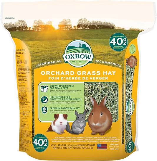 Oxbow Animal Health Orchard Grass Hay - All Natural Grass Hay for Chinchillas, Rabbits, Guinea Pigs, Hamsters, Gerbils & Other Small Pets - Grown in the USA- Fiber Rich- 40 oz. OxbowAnimalHealth