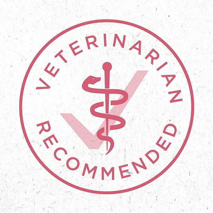 Purina ONE Natural, Sensitive Stomach Dry Dog Food, +Plus Skin & Coat Formula - 16.5 lb. Bag - PAWPICO