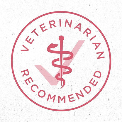 Purina ONE Natural, Sensitive Stomach Dry Dog Food, +Plus Skin & Coat Formula - 16.5 lb. Bag - PAWPICO