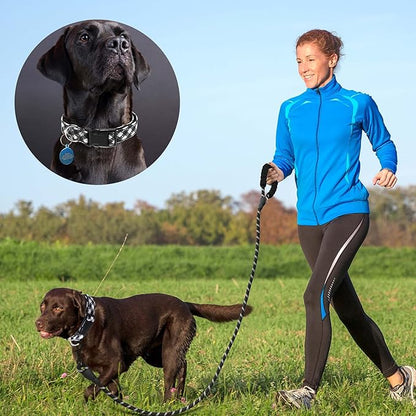 Reflective Dog Collar Padded with Soft Neoprene Breathable Adjustable Nylon Dog Collars for Small Medium Large Dogs (Medium (Pack of 1), Black Plaid Collar+Leash) ladoogo