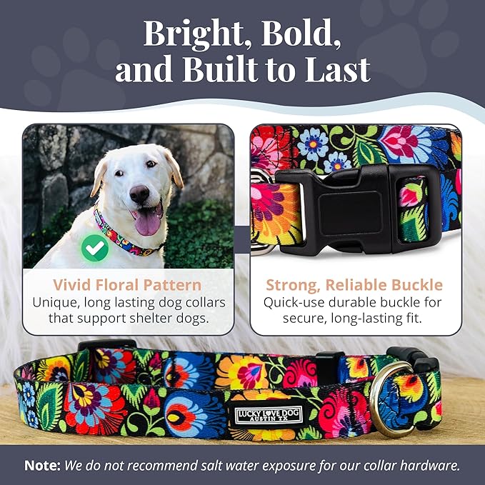 Lucky Love Dog - Adjustable Dog Collar with Easy Click Buckle for Small to Large Dogs, Durable, & Comfortable Collar for Male & Female Dogs, Pet Collar for Puppies & Adult Dogs - Blackbird, Large LuckyLoveDog