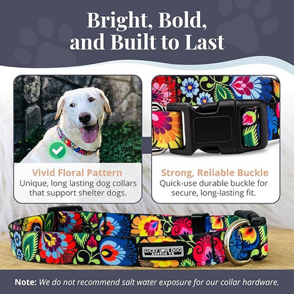 Lucky Love Dog - Adjustable Dog Collar with Easy Click Buckle for Small to Large Dogs, Durable, & Comfortable Collar for Male & Female Dogs, Pet Collar for Puppies & Adult Dogs - Blackbird, Large LuckyLoveDog