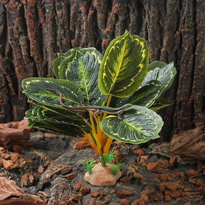 Terrarium Plants for Reptile Terrarium, Reptile Plants Tortoise Habitat Accessories, Artificial Spider Plant for Gecko, Ball Python, Tortoise Terrarium Décor - Calathea Makoyana B IBWell