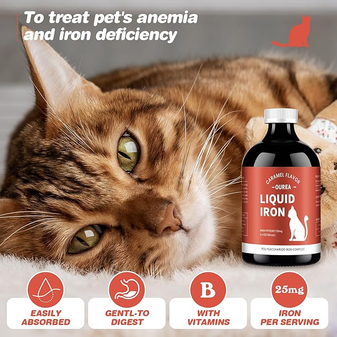 Iron Supplements for Cats-Liquid Iron Supplement for Anemia Cat-Polysaccharide Iron Complex Supports for Anemia in Cats Blood Health and Addresses Nutritional Deficiencies-Cat Care Essentials Ourea