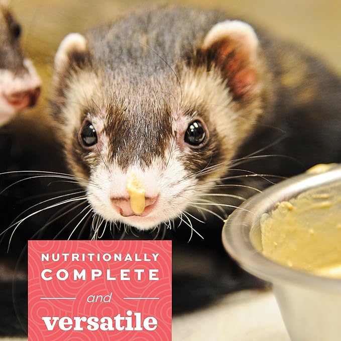 Oxbow Critical Care Carnivore - Nutritionally Complete Feeding Assist Formula for Small Animals & Pets (70g) OxbowAnimalHealth