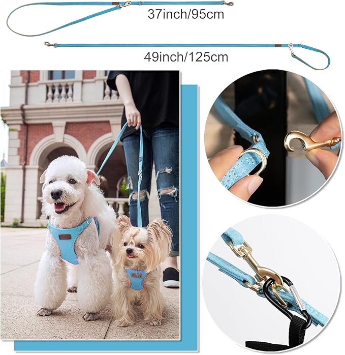 Puppytie No Pull xs Dog Harness with Multifunction Dog Leash,Soft Adjustable No Choke Escape Proof Pet Harness Vest,Ocean Blue,XS Puppytie