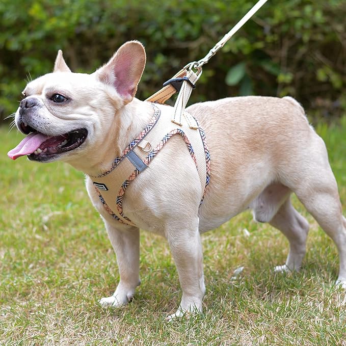 Mercano Soft Mesh Dog Harness and Leash Set, No-Chock Step-in Reflective Breathable Lightweight Easy Walk Escape Proof Vest Harnesses with Safety Buckle for Small Medium Dogs, Cats (Beige, L) PAWPICO