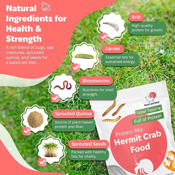 Snout and Shell - Protein Mix Hermit Crab Food - 1 oz - 30 Grams - Whole Food Diet for Hermit Crabs - Seeds, Sea Creatures, Bugs and More SNOUTANDSHELL