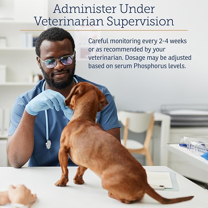 Rx Vitamins Phos-Bind - Kidney Support Supplement Powder - Phosphate Binder for Cats & Dogs for Kidney Health - Supports Normal Kidney Cleanse and Essential Kidney Care - 200g RxVitamins