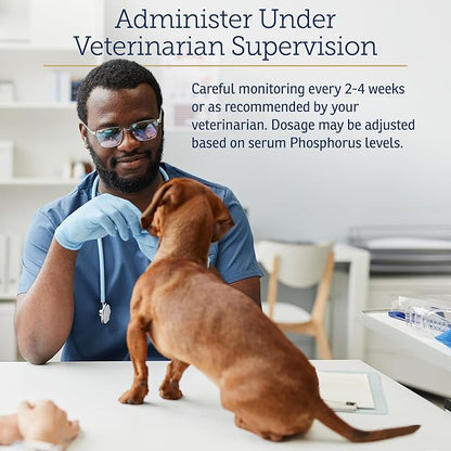 Rx Vitamins Phos-Bind - Kidney Support Supplement Powder - Phosphate Binder for Cats & Dogs for Kidney Health - Supports Normal Kidney Cleanse and Essential Kidney Care - 200g RxVitamins