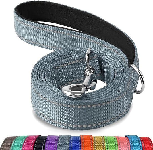Joytale Double-Sided Reflective Dog Leash, 6 FT/5 FT/4 FT, Padded Handle Nylon Heavy Duty Leashes for Small & Medium Dogs Walking, Gary, 6FT Joytale
