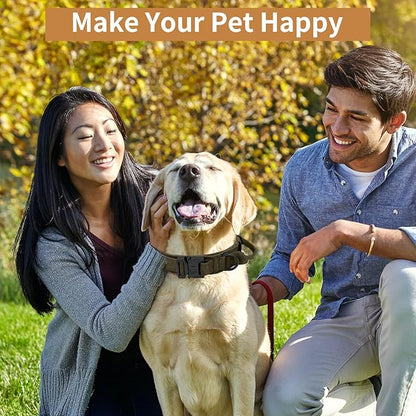 Tactical Dog Collar - Military Dog Collar, Adjustable Heavy Duty Metal Buckle Nylon Dog Collar with Control Handle for Small Medium Large Dogs, (Green, L) ANTSWISH