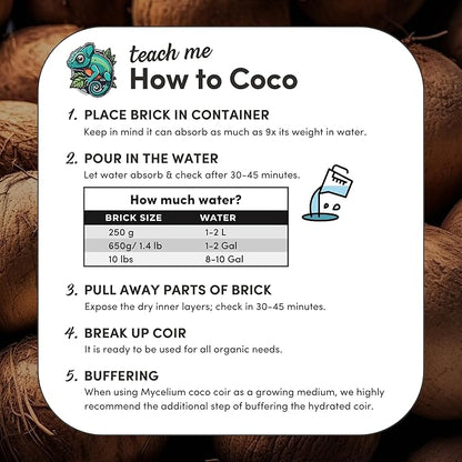 Mycelium Organic Coco Coir Brick 10lbs - Ideal for Mushroom Cultivation Mushroom Substrate - OMRI Certified, Expands with Water, Eco-Friendly Soil Alternative Mycelium