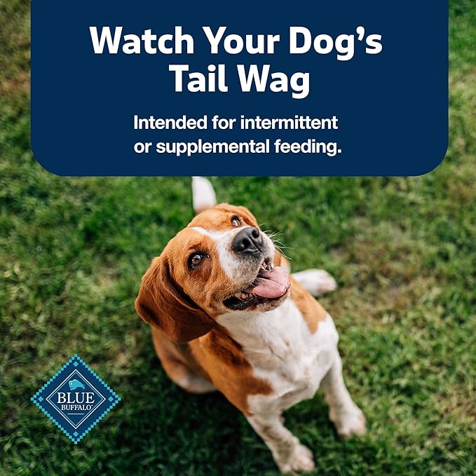 Blue Buffalo Stix Pepperoni-Style Dog Treats Made with Natural Ingredients, Chicken Recipe, 13-oz Bag - PAWPICO