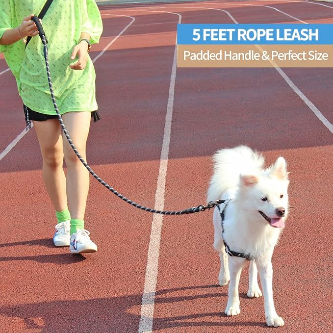 BAAPET 2/4/5/6 FT Dog Leash with Comfortable Padded Handle and Highly Reflective Threads for Small Medium and Large Dogs (5FT-1/2'', Grey) BAAPET