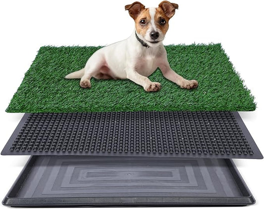 Artificial Grass for Dog Potty – 20x25 inch,Strong Absorbency Grass Pad, Dog Grass Pad with Tray, Dog Potty Training Pad, Dog Litter Box with Grass (Medium) - PAWPICO
