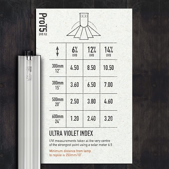 Arcadia Pro T5 UVB Lighting Kit - 39W - Dragon PAWPICO