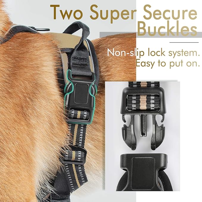 rabbitgoo Dog Harness, No-Pull Pet Harness with 2 Leash Clips, Adjustable Soft Padded Dog Vest, Reflective No-Choke Pet Oxford Vest with Easy Control Handle for Medium Dogs, Beige, M - PAWPICO