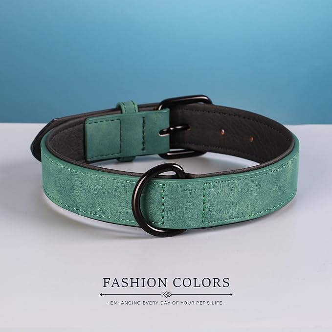 Didog Soft Padded Leather Dog Collar, Breathable Heavy Duty Dog Collar Leather with Adjustable Rust-Proof Metal Buckle for Small Medium Large Dogs, Green, M: Total length 16'', Fit 11-13''Neck Didog