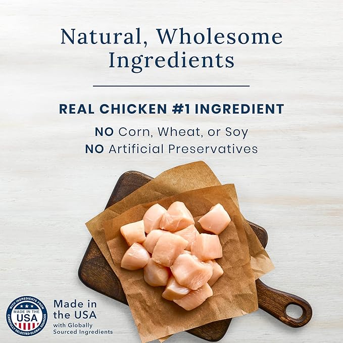 Blue Buffalo Nudges Jerky Cuts Natural Dog Treats Chicken Bag - PAWPICO