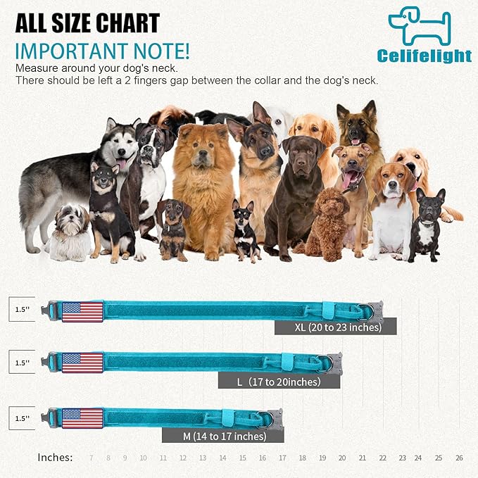 Tactical Dog Collar Military Dog Collar Adjustable Nylon Dog Collar Heavy Duty Metal Buckle with Handle for Dog Training,with Patches (Light Blue 1, L) Celifelight