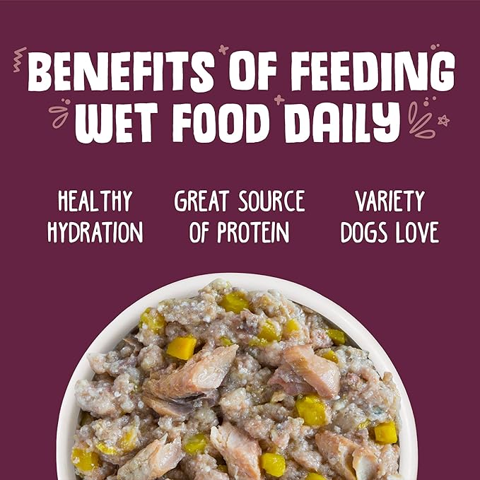 Weruva Classic Dog Food, Hot Dayam! with Lamb in Gelée, 14oz Can (Pack of 12) - PAWPICO