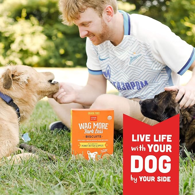 Cloud Star Wag More Bark Less - Dog Treats - Crunchy Biscuits - Grain Free Peanut Butter & Apples - 2.5 lb Pouch - PAWPICO