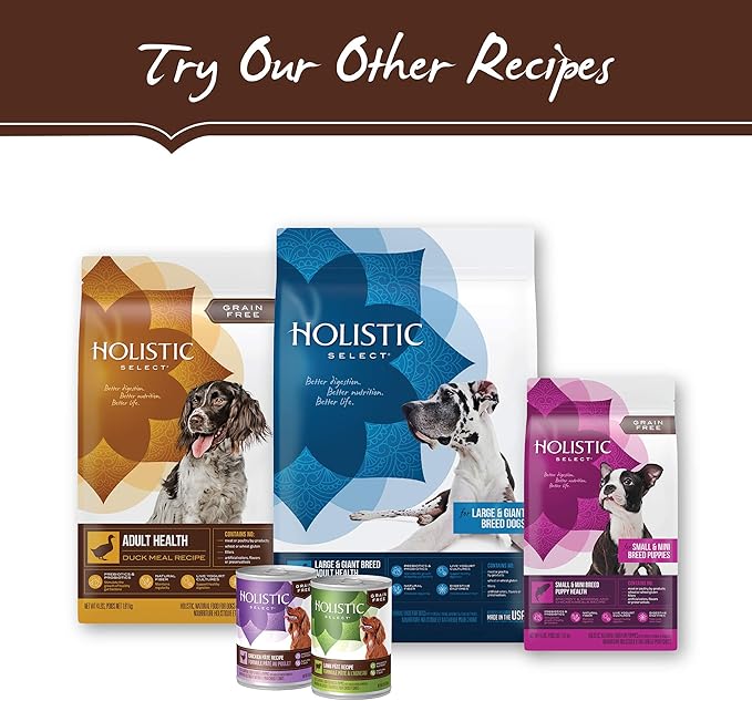 Holistic Select Natural Dry Dog Food, Chicken Meal & Rice Recipe, 30-Pound Bag - PAWPICO