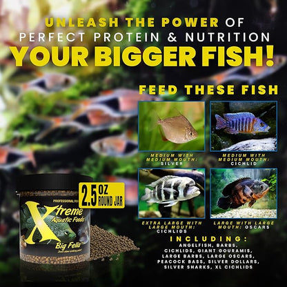 Xtreme Big Fella 3.0mm Pellets: Professional Nutrition for Medium to Large Cichlid/Community Fish - Boost Immune & Digestive Health, Color & Energy, Max Protein Fish Food – USA Farm Grown (2.5oz) XtremeAquaticFoods