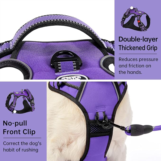 IVY&LANE No Pull Dog Harness for Large Dogs, Dog Vest Harness with Leash, Safety Belt and Storage Strap, Fully Adjustable Harness, 360° Reflective Strip, Soft Handle (Purple, XL) IVYLANE