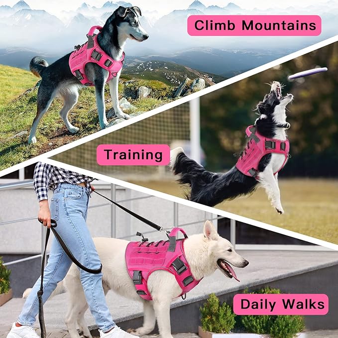 WINGOIN Pink Tactical Dog Harness Vest for Small Dogs No Pull Adjustable Reflective K9 Military Dog Service Dog Harnesses with Handle for French Bulldog, Beagle Pug, Corgi(S) - PAWPICO