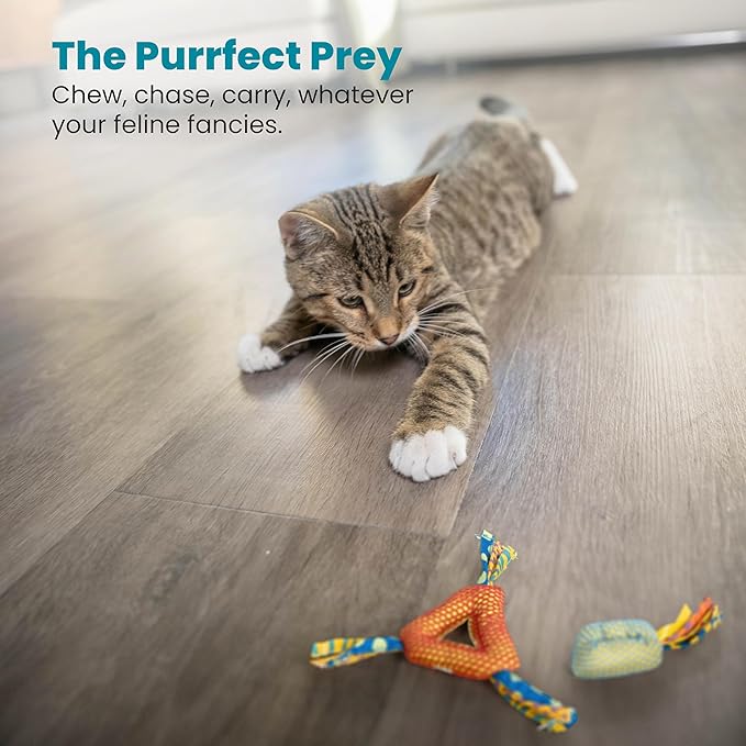 Petstages Dental Health Chews Pair - PAWPICO