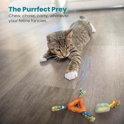 Petstages Dental Health Chews Pair - PAWPICO