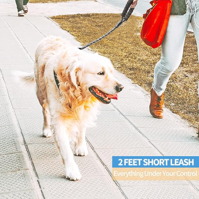 BAAPET 2/4/5/6 FT Dog Leash with Comfortable Padded Handle and Highly Reflective Threads for Small Medium and Large Dogs (2FT-1/2'', Black) BAAPET