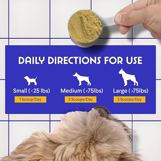 Bone Broth for Dogs – Bone Broth Powder with Organic Mushrooms & Collagen for Digestion, Immunity & Joint Support – Tasty Beef Supplement for Dogs of All Ages, Sizes & Breeds – 3.20 oz WonderPaws