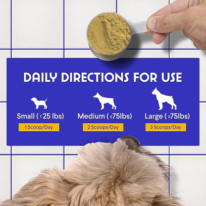 Bone Broth for Dogs – Bone Broth Powder with Organic Mushrooms & Collagen for Digestion, Immunity & Joint Support – Tasty Beef Supplement for Dogs of All Ages, Sizes & Breeds – 3.20 oz WonderPaws