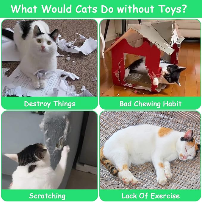 Catnip Toys, Catnip Toys for Cats, Cat Toys with Catnip, Cat Toys for Indoor Cats Kittens, Cat Chew Toy, Cat Pillow Toys for Teeth Cleaning Playing, 6 Pack - PAWPICO