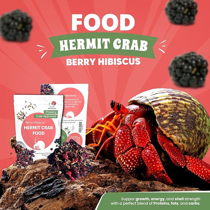 Snout and Shell Berry Hibiscus Hermit Crab Food - Colorful Blend Diet of Hibiscus Flowers, Blueberries, Hemp Seed, Coconut Chips & White Birch Bark - Aquatic Pet Animal Snack Treat | 25g, Multi SNOUTANDSHELL