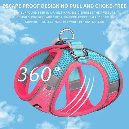 AIITLE Dog Harness, Spring No-Pull Cat Harness with a Leash, Adjustable Reflective Dog Vest, Cat Harness Escape Proof, Outdoor Walking, Camping for Extra Small Dogs and House Cats Hot Pink XXXS AIITLE-FORPETSBETTERLIFE