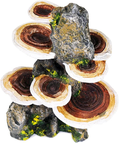 Penn-Plax Deco-Replicas Tree Trunk with Shelf Mushrooms Aquarium Decoration – Safe for Freshwater and Saltwater Fish Tanks – Medium Penn-Plax
