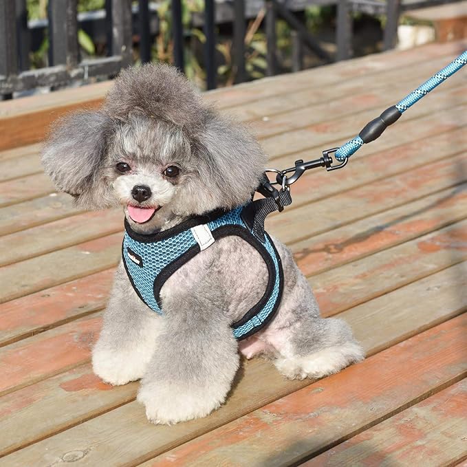 Dog Harness Step-in Breathable Puppy Cat Dog Vest Harnesses for Small Medium Dogs Blue - PAWPICO